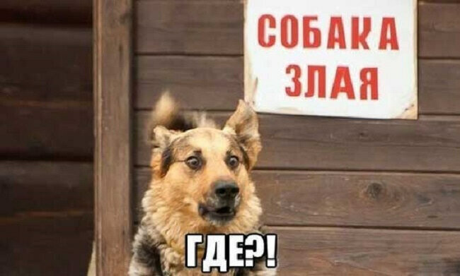 4743317_i_jpgll (650x391, 51Kb)