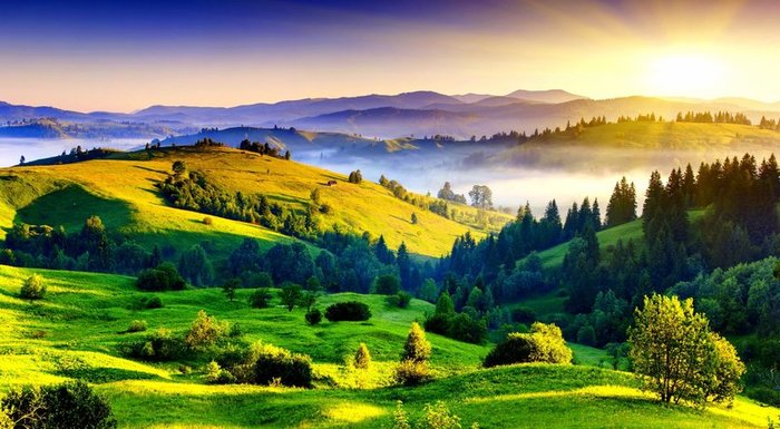 5152557_rrrrs800 (700x385, 77Kb)