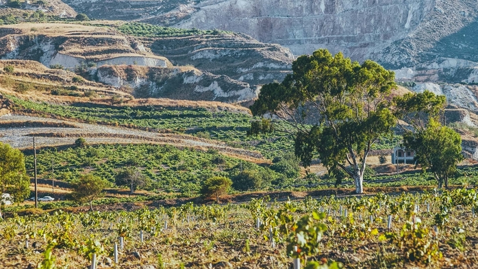 2714816_the_unique_terroir_where_santorini_vineyards_grow1 (700x393, 311Kb)