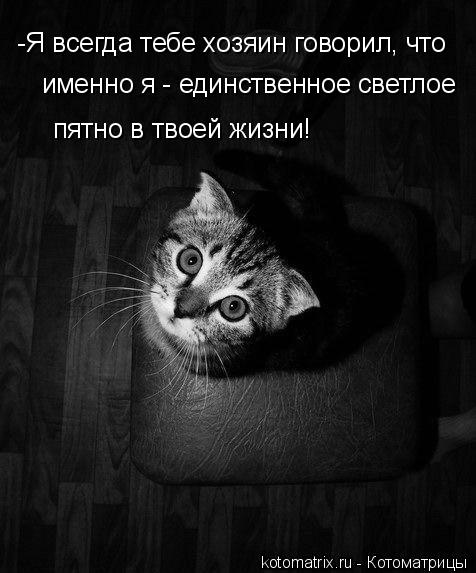 4743317_oC (476x573, 43Kb)
