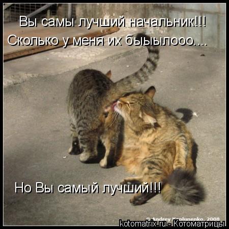 4743317_ra_jpgv (450x450, 40Kb)