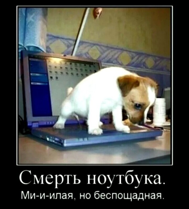 4743317_i_jpgr (633x700, 68Kb)