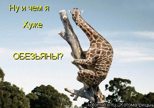 4743317_es_jpge (500x352, 37Kb)