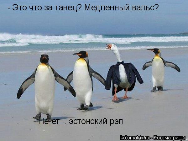 4743317_rA (600x449, 35Kb)