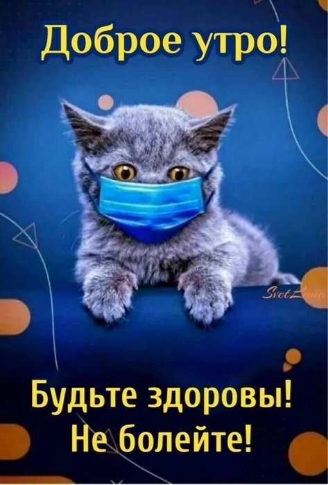 3416556_h13358 (473x700, 57Kb)