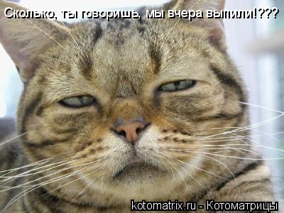4743317_5A (400x300, 28Kb)