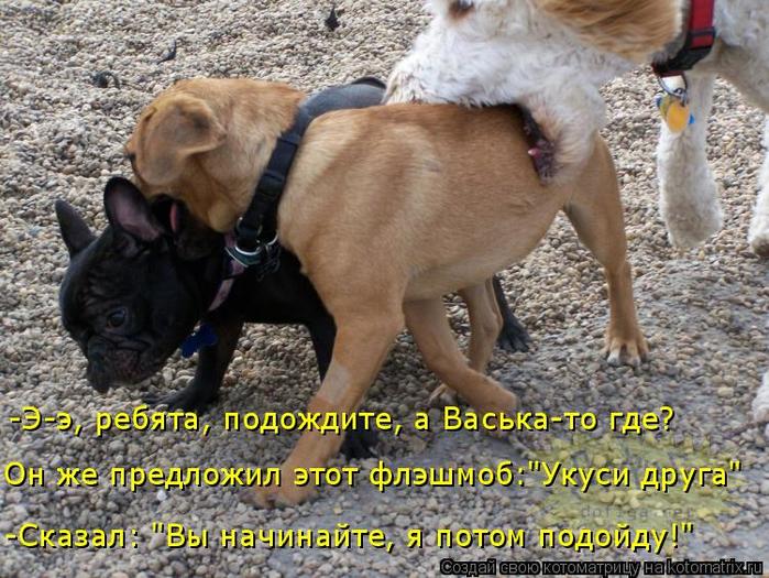 4743317_kotomatritsa_f (700x525, 91Kb)