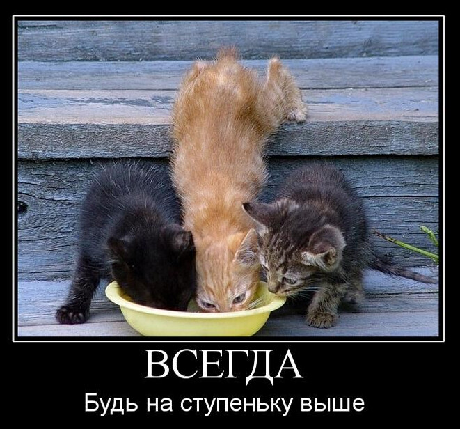 4743317_i_jpgen (661x616, 130Kb)