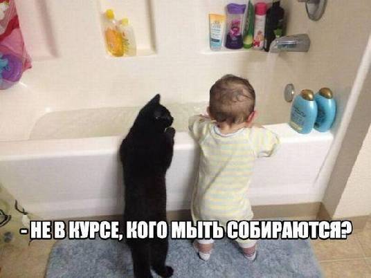 4743317_h11089 (536x402, 26Kb)