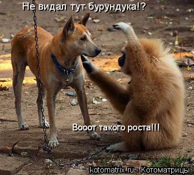 4743317_5h (400x361, 37Kb)