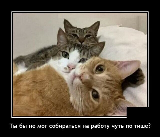 4743317_i_jpgrp (640x545, 53Kb)