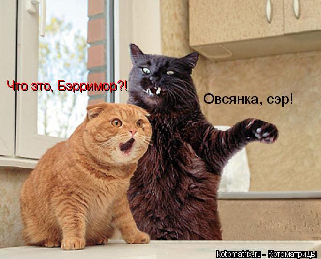 4743317_2x (663x535, 54Kb)