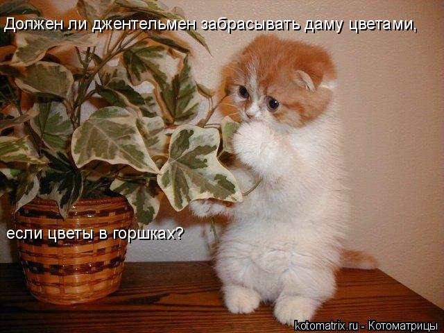 4743317_DA (640x480, 55Kb)