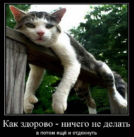 4743317_i_jpgtim (546x559, 91Kb)
