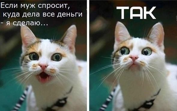 4743317_tak (590x372, 32Kb)