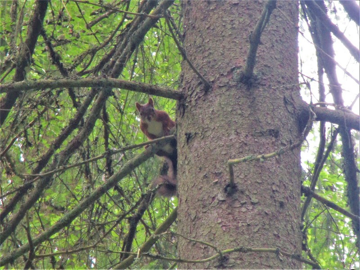 IMG_5824 (700x525, 480Kb)