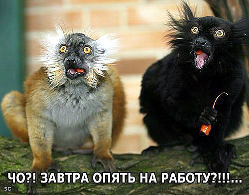 4743317_rabota (500x391, 40Kb)