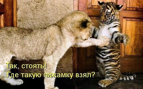 4743317_pijama (604x377, 78Kb)