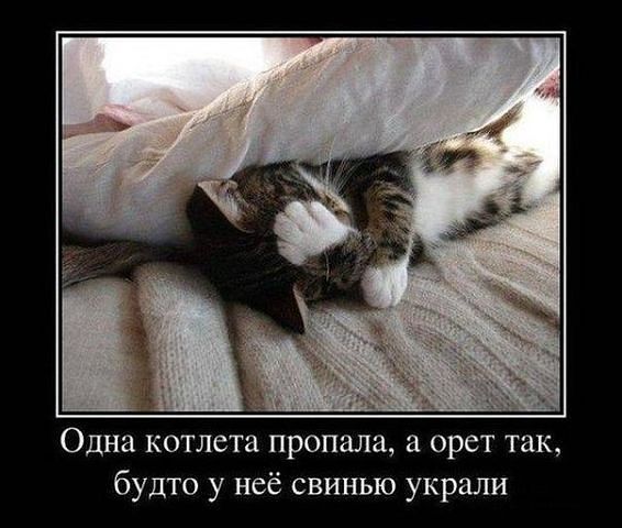 4743317_Kotleta (566x480, 46Kb)