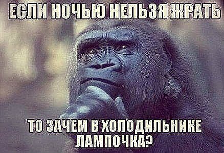 4743317_Obezyana (438x299, 44Kb)