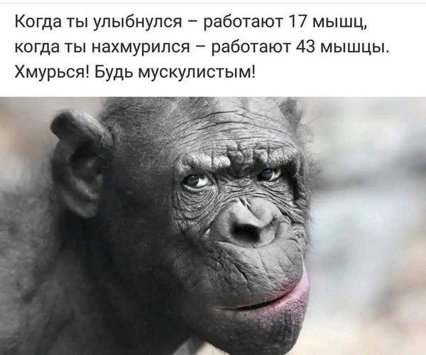 5672049_211470004_960457691438930_1420849465502980052_n (600x501, 44Kb)