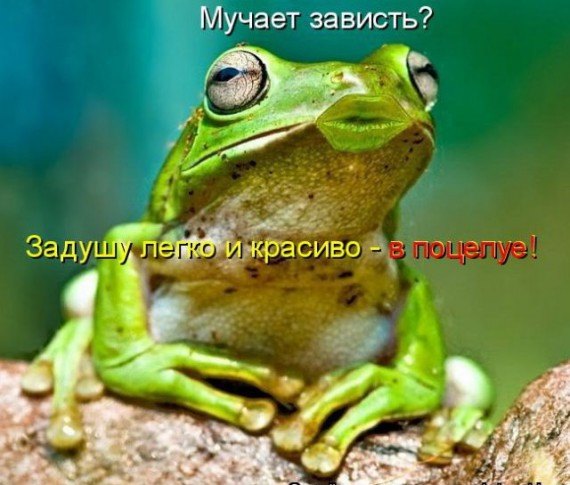 5672049_65913053_862725514089292_1022772180083015680_n (570x485, 57Kb)