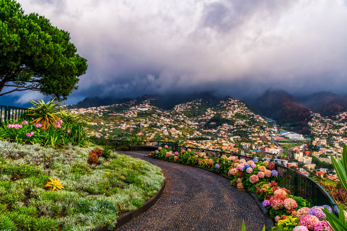 portugaliia-funchal-madeira-islands-klumby-tsvety-derevo-par (700x466, 531Kb)