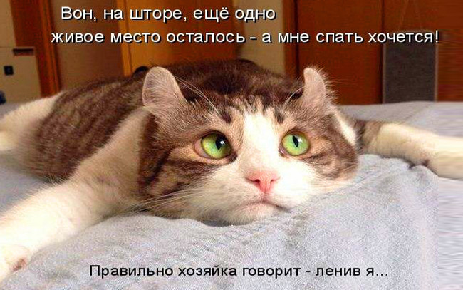 4743317_photo_1555820057 (650x407, 96Kb)