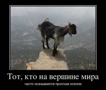 4743317_Vershina (450x382, 26Kb)