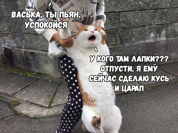 4743317_i_jpgp (604x453, 112Kb)