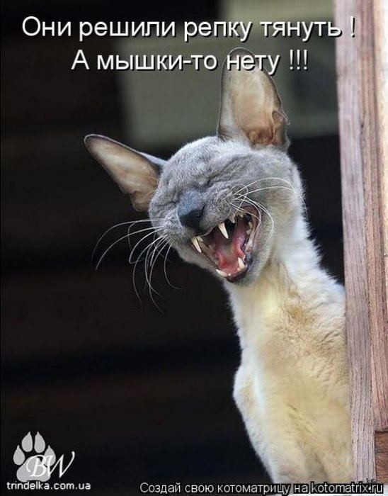 4743317_photo_1555820206 (548x700, 67Kb)