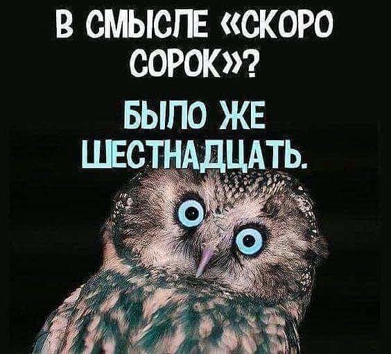 4743317_photo_1575397578 (564x510, 62Kb)