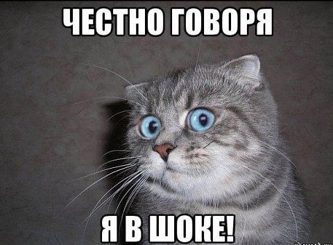 4743317_photo_1555820149 (480x353, 55Kb)