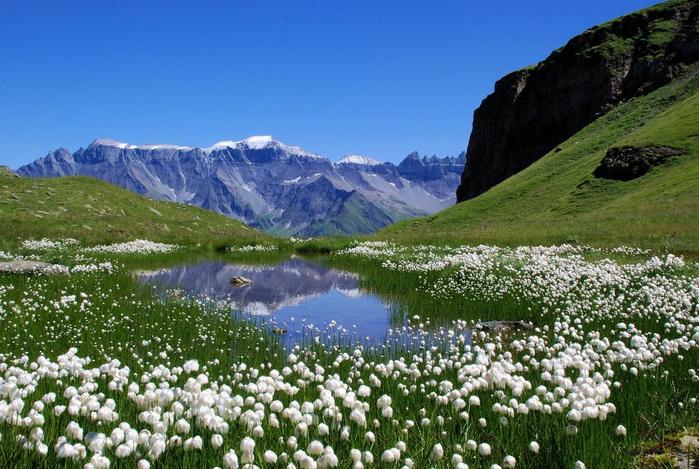 !GlarusAlps (900x669, 78Kb)