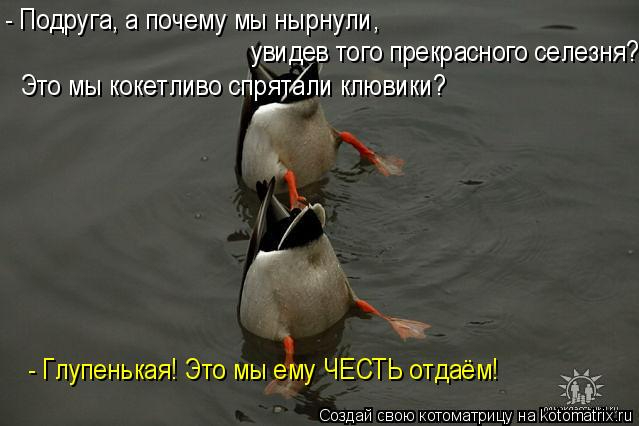 1005250 (639x426, 131Kb)
