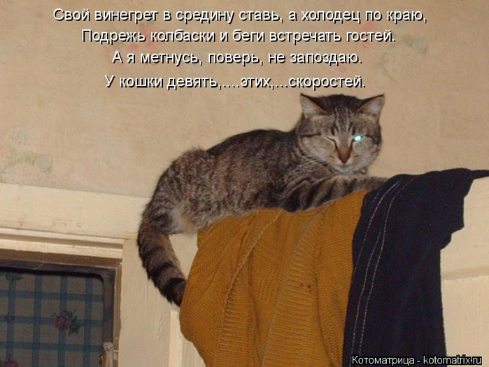 kotomatritsa_Bi (700x524, 346Kb)