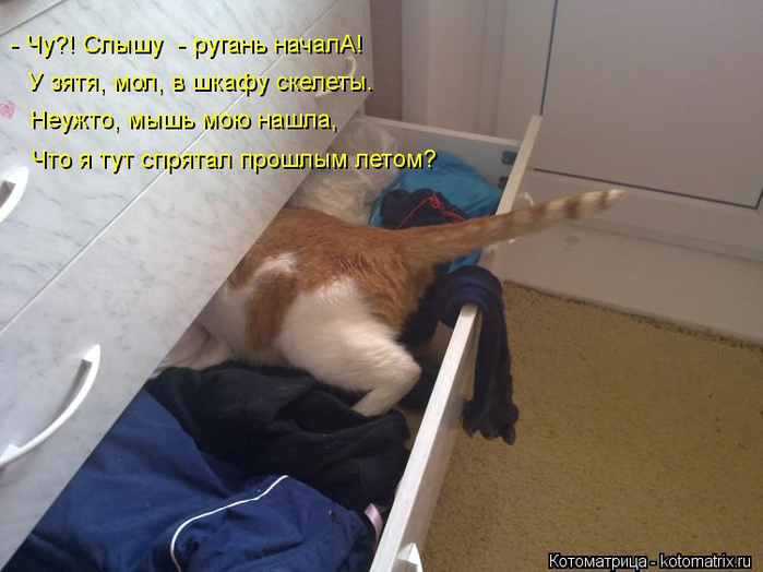 kotomatritsa_Eq (700x524, 286Kb)