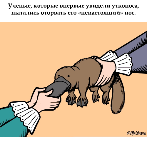 5402287_1364497714_zanimatelnayazoologiya10 (500x500, 356Kb)