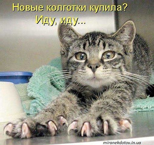 4743317_photo_1555820015 (508x480, 67Kb)