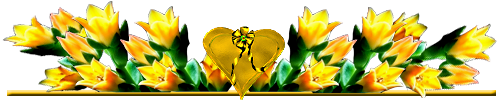 ZWETI (500x100, 89Kb)