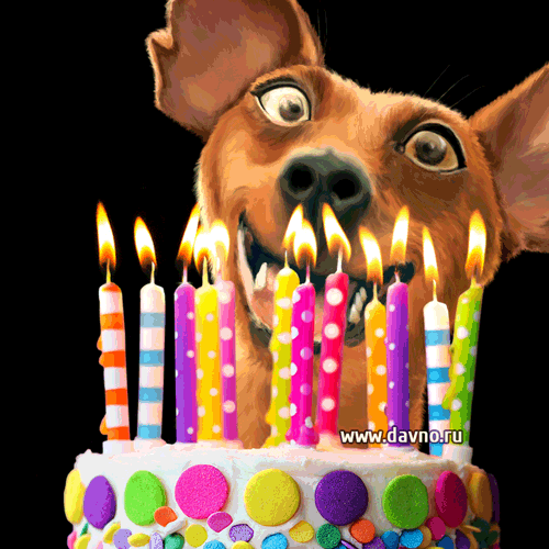 4497432_birthday1103 (500x500, 288Kb)