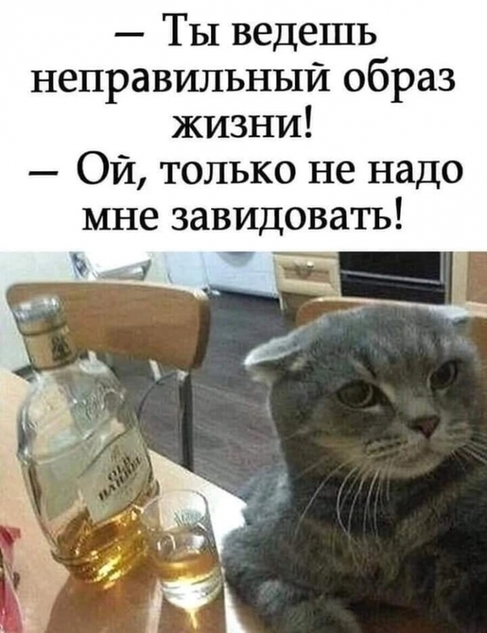 4743317_i_jpg7 (538x700, 205Kb)