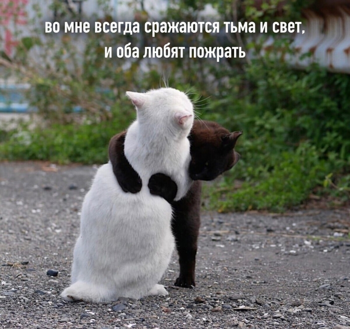 4743317_i_jpg8 (700x658, 311Kb)