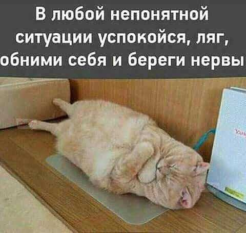 4743317_photo_1555819408 (480x456, 39Kb)