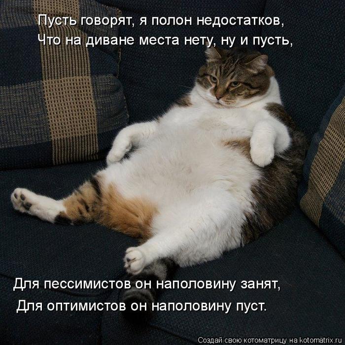 4743317_kotomatritsa_X (700x700, 94Kb)