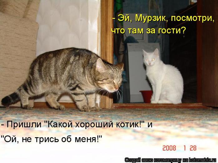 4743317_kotomatritsa_O (700x524, 55Kb)