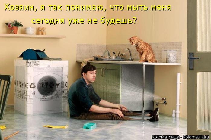 4743317_kotomatritsa_hn (700x465, 47Kb)