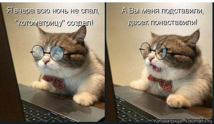 4743317_kotomatritsa_3 (700x406, 43Kb)