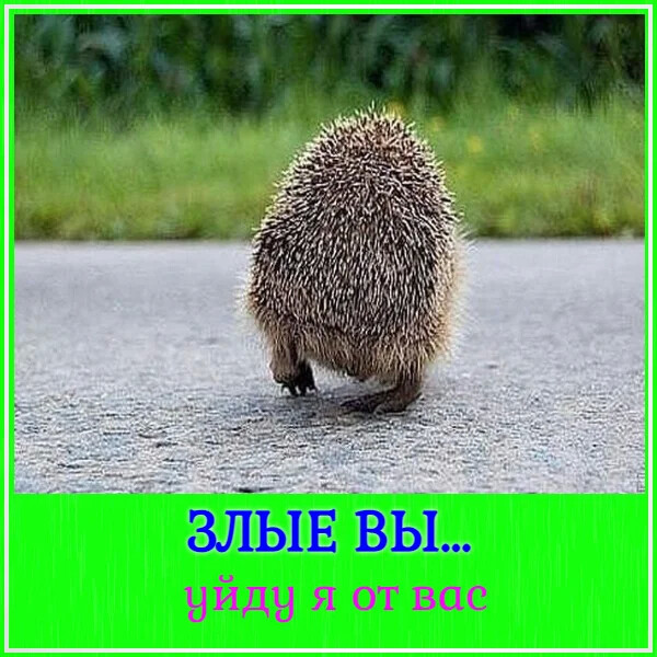 4743317_i_13_jpgav (600x600, 120Kb)