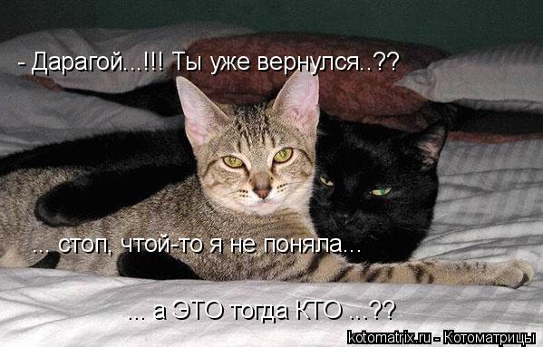 4743317_5 (599x383, 49Kb)